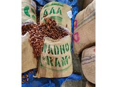 
      
      DRI busts Pakistan-origin imports; Seizes over 362 MT dry dates i
      
      