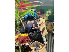 
      
      Kangra Police bust rave party at Dharamkot hostel
      
      