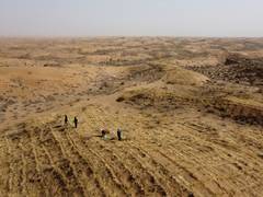 
      
      China businesses face new land charges ahead of farmland law
      
      