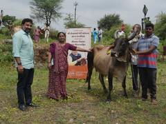 
      
      Gujarat: Sitavan Gir Gaushala donates 76 indigenous Gir cows
      
      
