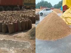 Heavy rain damages grain stocks at mandis in Amritsar and Delhi's Narela