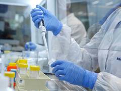 WHO reports first human infection with Shamonda virus in France; patient dies