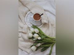 
      
      Cocoa does not reduce exercise-related digestive distress,...
      
      