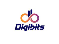 
      
      Digibits launches unique schemes for its managing partners 
      
      