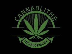 
      
      CannaBlithe promotes CBD for no-side effects pain management
      
      