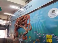 
      
      Railways' first movable freshwater tunnel aquarium opens for...
      
      