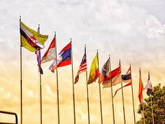 
      
      ASEAN holds special summit on response to COVID-19 pandemic
      
      