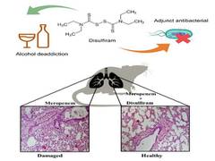 
      
      IIT Roorkee discover molecule, it targets Carbapenem resistance
      
      