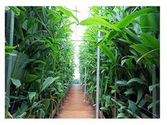 
      
      A S Agri and Aqua LLP - Pioneering force behind Hi-Tech...
      
      