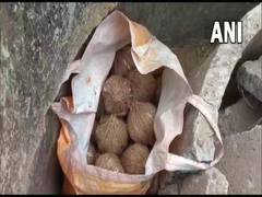 
      
      Police recover crude bombs in West Bengal's Birbhum
      
      