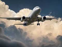 
      
      Locust swarms spotted near Delhi airport, pilots urged to be...
      
      