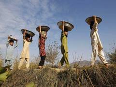 
      
      Afghanistan: Number of teenagers involved in hard labour...
      
      