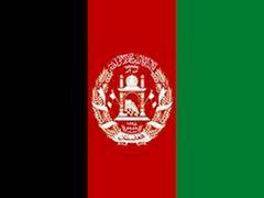 
      
      Security forces kill 7 Taliban members in southern...
      
      