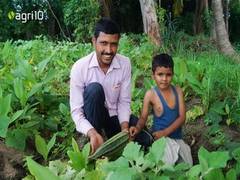 
      
      Sky's the Limit - Agri10x, blockchain-enabled, farmer...
      
      