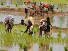 
      
      Maharashtra loan waiver to cost at Rs 45,000 crore to 51,000...
      
      