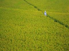 
      
      Outlook for kharif season favourable, consumption to revive...
      
      