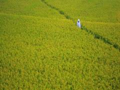 
      
      India's labour, agricultural reforms can spur medium-term...
      
      