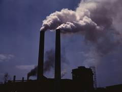 
      
      Breathing polluted air linked to weight gain: Study
      
      