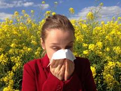 
      
      Study analyses novel strategies to tackle allergic reactions
      
      