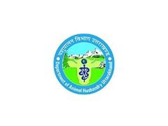
      
      Aussie Merino sheep wool gets local in Tehri
      
      
