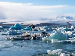 
      
      China interested in cooperation with Russia on Arctic Station...
      
      