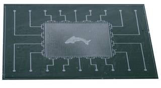 
      
      Electronic skin with self-healing abilities created
      
      