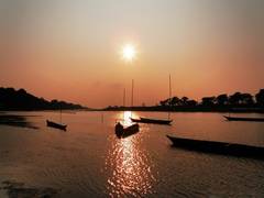
      
      American tourist test positive for coronavirus after taking...
      
      