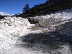 
      
      BRO clears 4 major avalanches in Uttarkashi
      
      