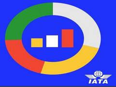 
      
      Challenging outlook for airlines despite vaccine progress: IATA
      
      