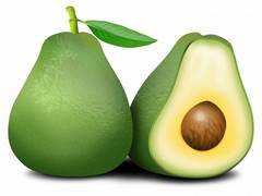 
      
      Avocado changes diet pattern in obese people: Study
      
      