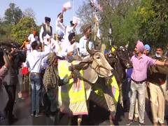 
      
      Fuel price hike: SAD MLAs ride to Punjab Assembly on bullock...
      
      