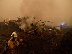 
      
      State of emergency declares in Australian Capital Territory...
      
      