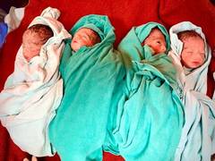 
      
      24-year-old mother delivers quadruplets babies at AIIMS Rishikesh
      
      