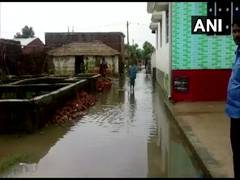 
      
      Bihar: Locals protest after houses collapse due to water-logging
      
      