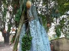 
      
      Tribal festival 'Bali' concludes in Andhra Pradesh
      
      