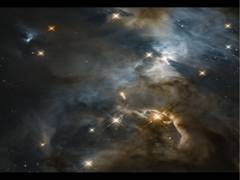 
      
      NASA's telescope captures cosmic flapping 'Bat Shadow'
      
      