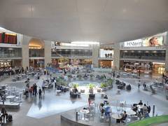 
      
      Tel Aviv airport on high alert as plane makes emergency landing
      
      