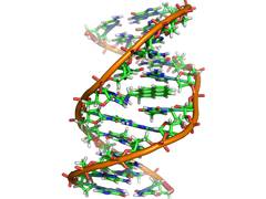 
      
      Scientists discover tiny devices to detect cancer!
      
      