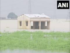 
      
      Bihar flood: Darbhanga residents continue to struggle with...
      
      