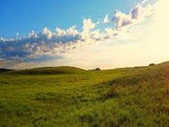 
      
      Over 60 countries back 2030 Biodiversity Protection Pledge...
      
      