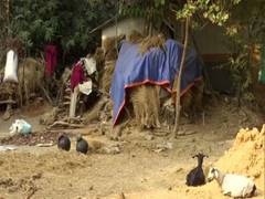 
      
      Tribal village in West Bengal's Birbhum lacks toilet...
      
      