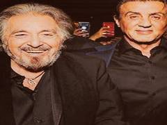 
      
      Superstar Sylvester Stallone extends warm birthday wishes to...
      
      