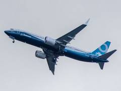 
      
      US bans Boeing 737 MAX flights
      
      