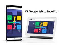 
      
      Now just say "Ok Google, Talk to ludo pro" to get the game started
      
      