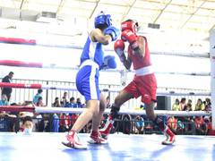 
      
      Sub-Junior Nat'l Boxing C'ships: Haryana boxers confirm 18 medals
      
      