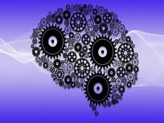 
      
      Researchers' take on left-brain might not be right, study explains
      
      