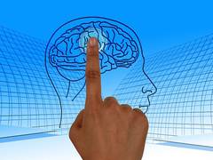 
      
      How the brain helps us make good or bad decisions
      
      