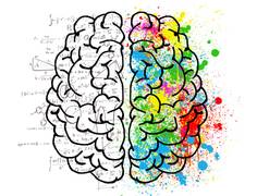 
    Does brain push you to help needy?
    