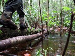 
      
      Armed miners invade Amazon village in Brazil after killing...
      
      