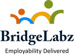 
      
      BridgeLabz raises undisclosed amount from Yunus Social...
      
      